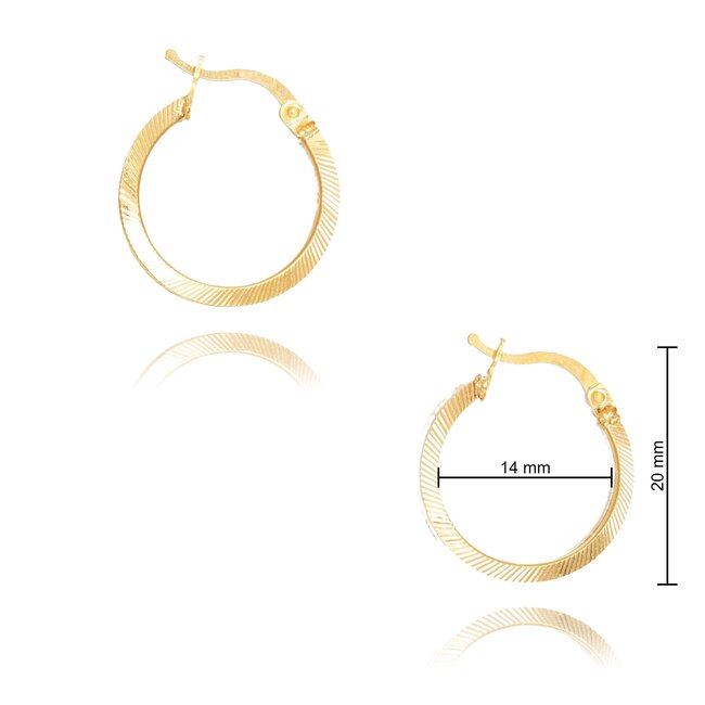 Goldmine 22 karaat gouden Oorbellen