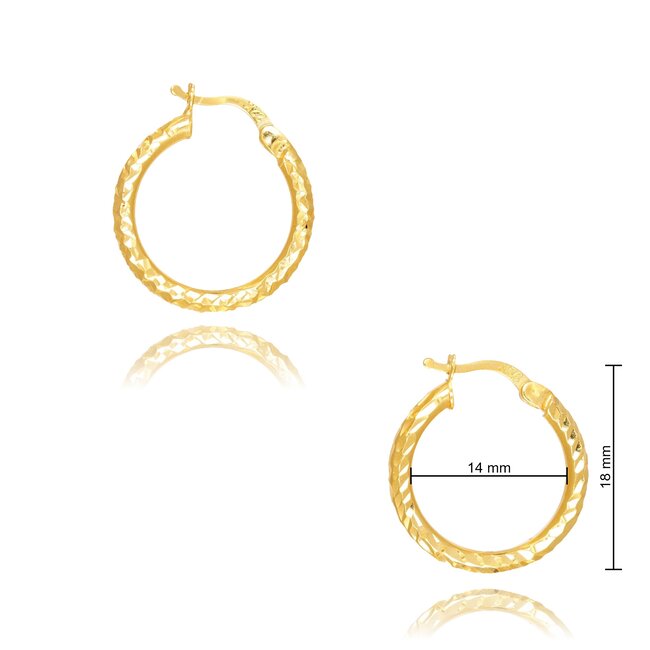 Goldmine 22 karaat gouden Oorbellen