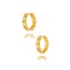 Goldmine 22 karaat facet gouden oorbellen