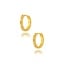 Goldmine 22 karaat gouden Oorbellen