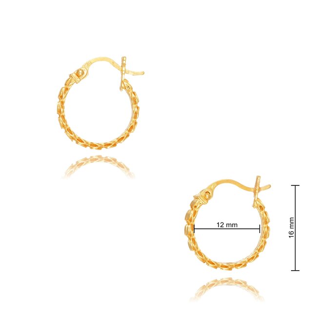 Goldmine 22 karaat gouden Oorbellen