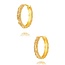 Goldmine 22 karaat gouden Oorbellen
