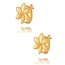 Goldmine 22 karaat gouden Oorbellen