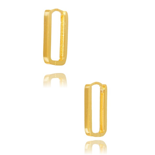 Goldmine 22 karaat gouden Oorbellen