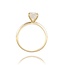 14 krt gouden ring