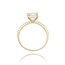 14 krt gouden ring