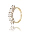 Gouden Rijring met Swarovski