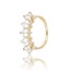 Geelgouden Swarovski Rijring