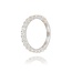 Witgouden Eternity Ring