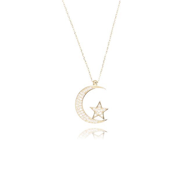 14 karaat gouden collier met maan en ster hanger