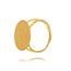 14 krt gouden ring