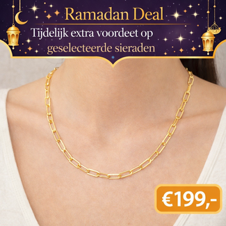 18 Karaat Gouden Ketting