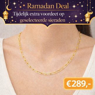 18 Karaat Gouden Paperclip Ketting