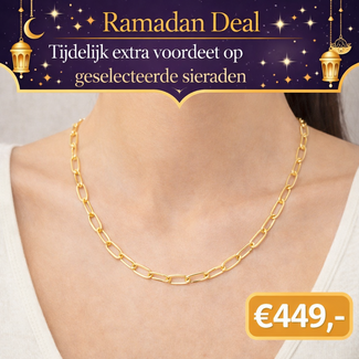 Gouden Ovale Schakel Ketting