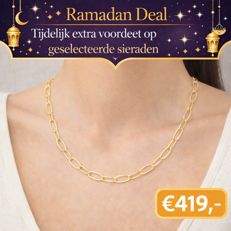 Gouden Luxe Schakel Ketting