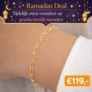 18 Karaat Gouden Paperclip Armband