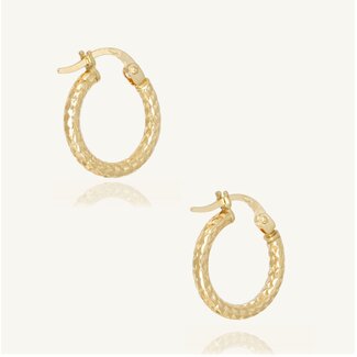 Gouden Creolen Oorbellen