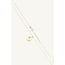 18 Karaat Gouden Ketting met Ovale Hanger