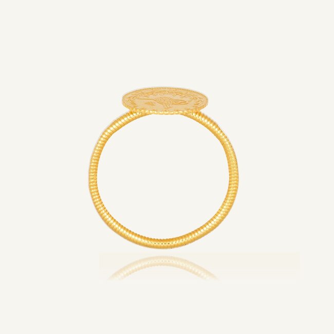 Fijne gouden ajda ring met baski resat munt