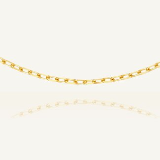 Roodgouden Anker Ketting 50 cm