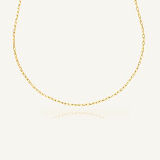 Roodgouden Anker Ketting