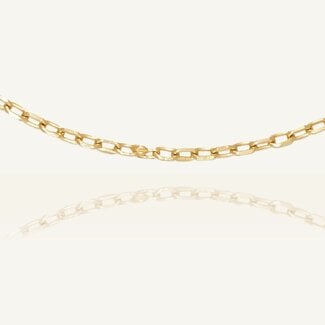 Geelgouden Anker Ketting