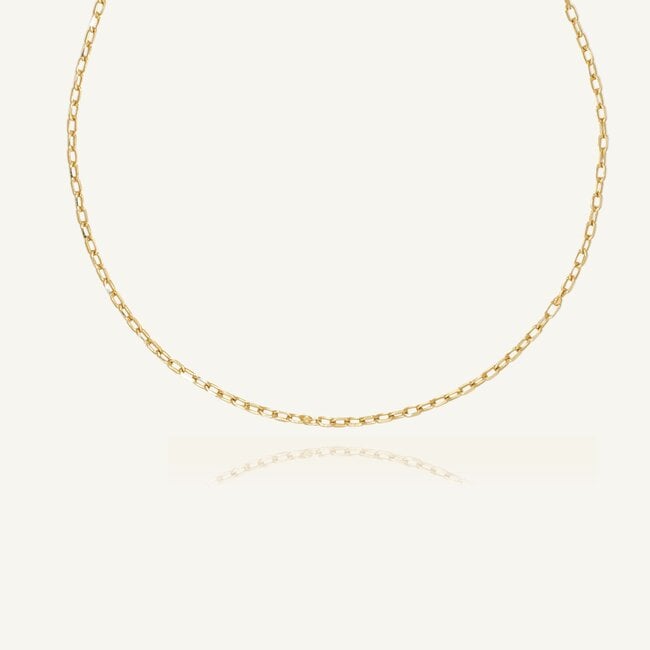 14 Karaat Geelgouden Anker Ketting