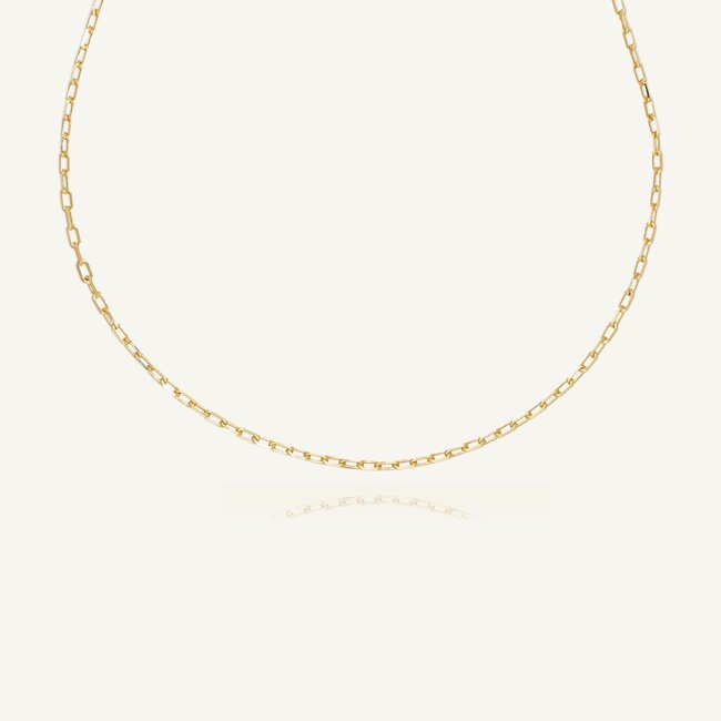 14 Karaat Geelgouden Paperclip Ketting