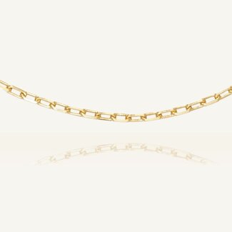 Geelgouden Paperclip Ketting