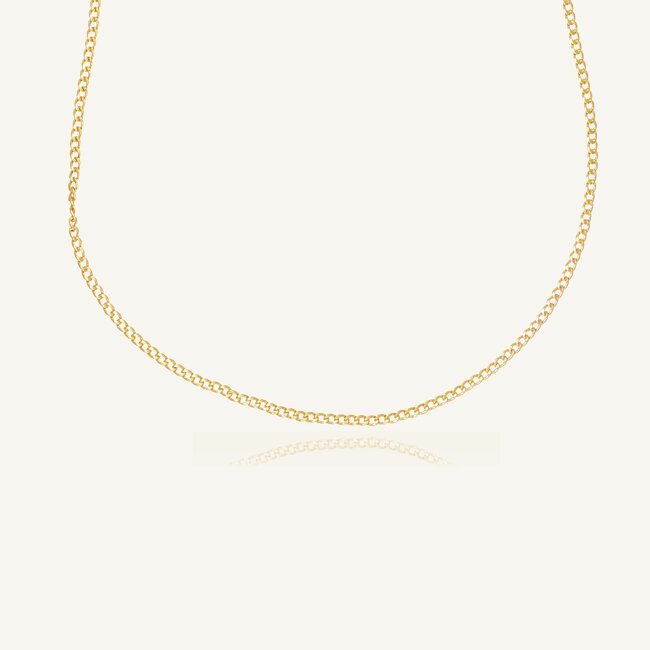 14k Geelgouden Ketting met Gourmet Schakels
