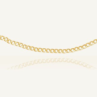 Gouden Schakelketting