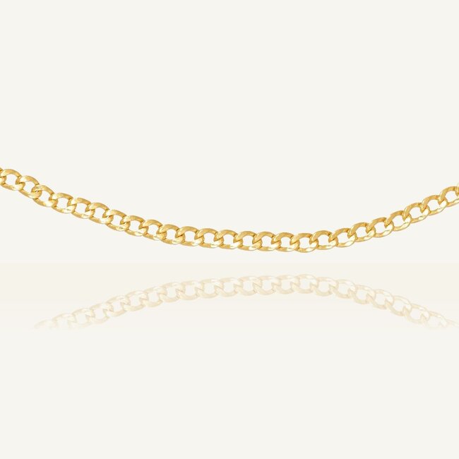 14k Geelgouden Ketting met Gourmet Schakels
