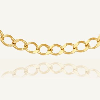 Geelgouden Jasseron Ketting