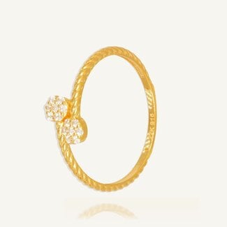 Elegante Dubbele Bloemring in Roodgoud