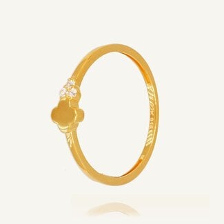 Gouden Ring met Klaver en Zirkonia