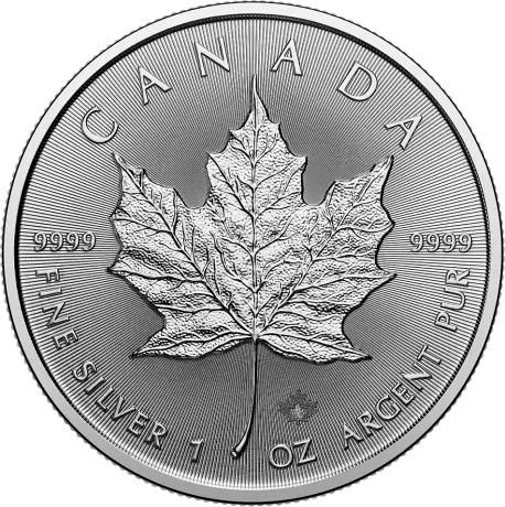 Zilveren Maple Leaf 1 oz munt