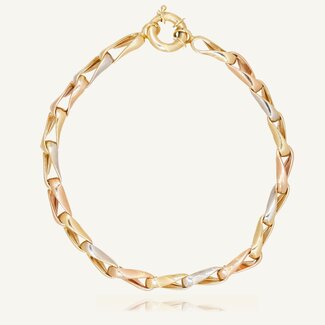 Driekleurige Gouden Fantasiearmband