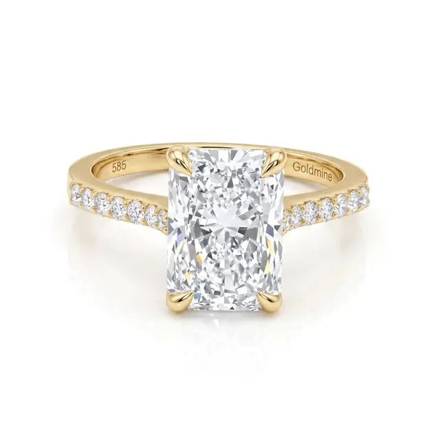 Gouden ring 14 karaat met radiant lab grown diamant 4.01 ct, E VS1, zijstenen 0.22 ct