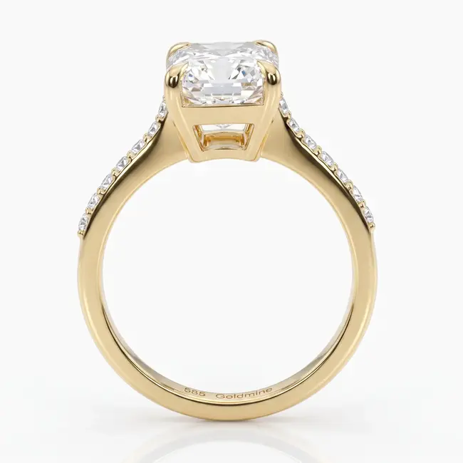 Gouden ring 14 karaat met radiant lab grown diamant 4.01 ct, E VS1, zijstenen 0.22 ct