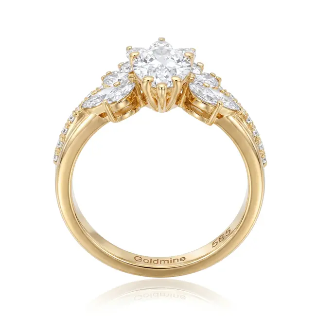Gouden ring 14 karaat, ovale lab grown diamant 1.02 ct met marquise krans, D VS1