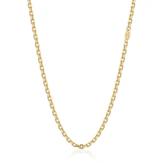 Fijne Gouden Schakel Ketting 50 cm
