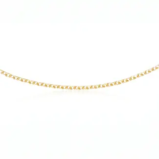 Fijne Gouden Schakelketting
