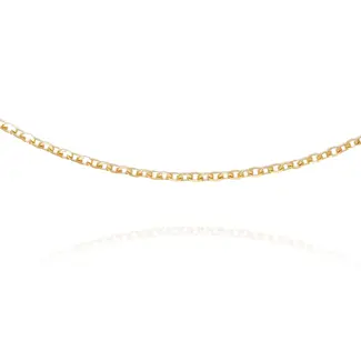 Fijne Gouden Schakelketting