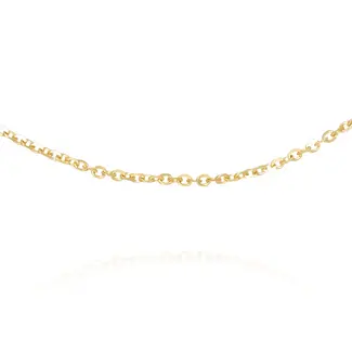 Fijne Gouden Schakelketting