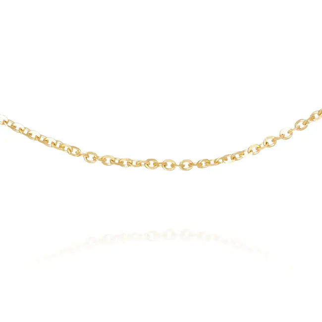18 karaat fijne Gouden Schakelketting