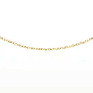 Fijne Gouden Schakelketting