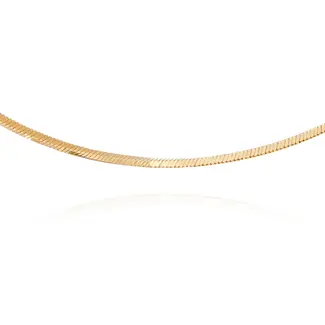 Gouden Slangenketting