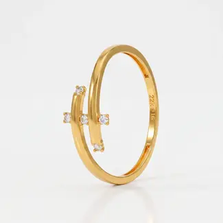 Gouden Ring met Zirkonia