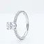 18 Karaat Witgouden Ring met Ovale Zirkonia en Pavé Zijstenen