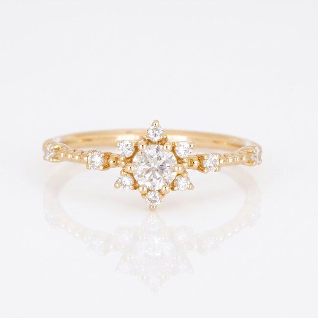 14 Karaat Gouden Diamanten Bloemring